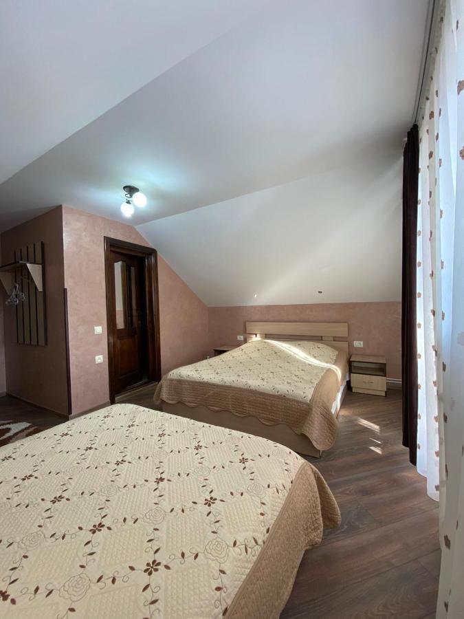 Pensiunea Casa Alexandra Guest house