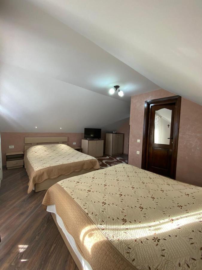 Pensiunea Casa Alexandra Pensión 3*