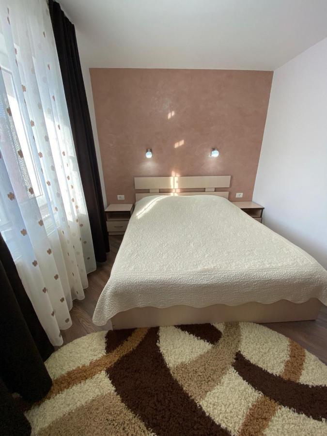 Pensión Pensiunea Casa Alexandra 3*