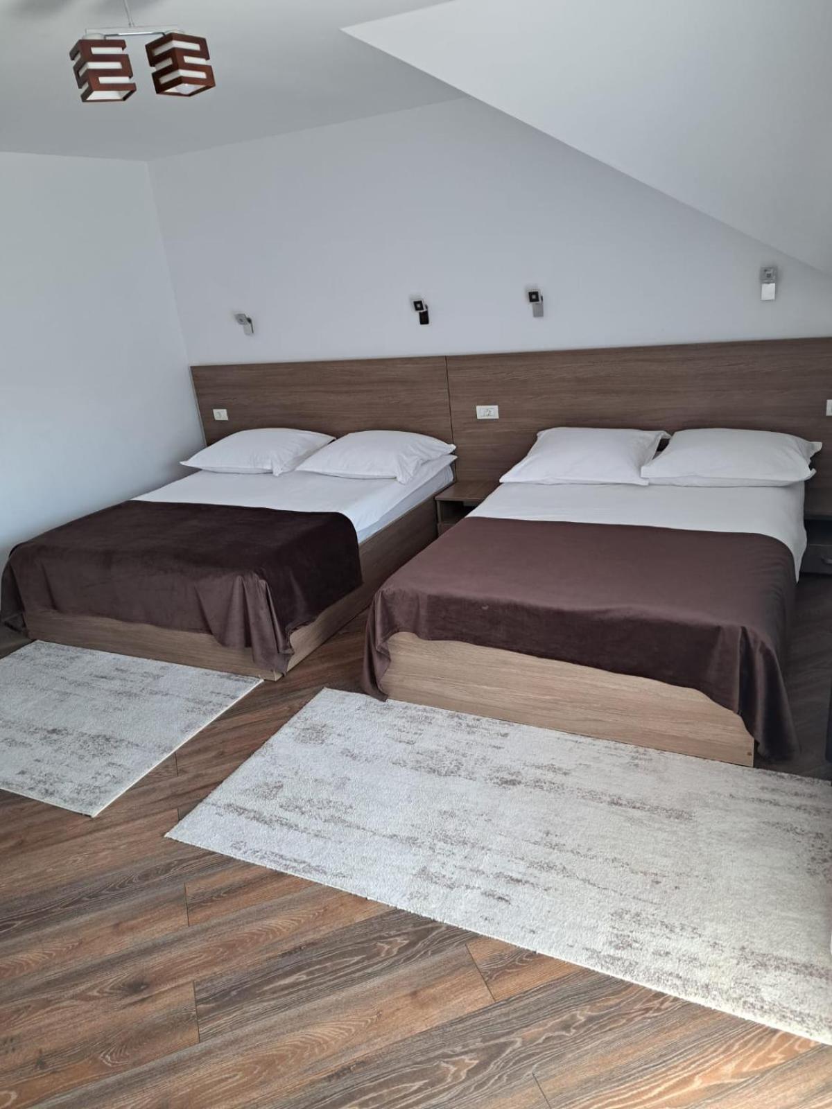 Guest house Pensiunea Casa Alexandra 3*
