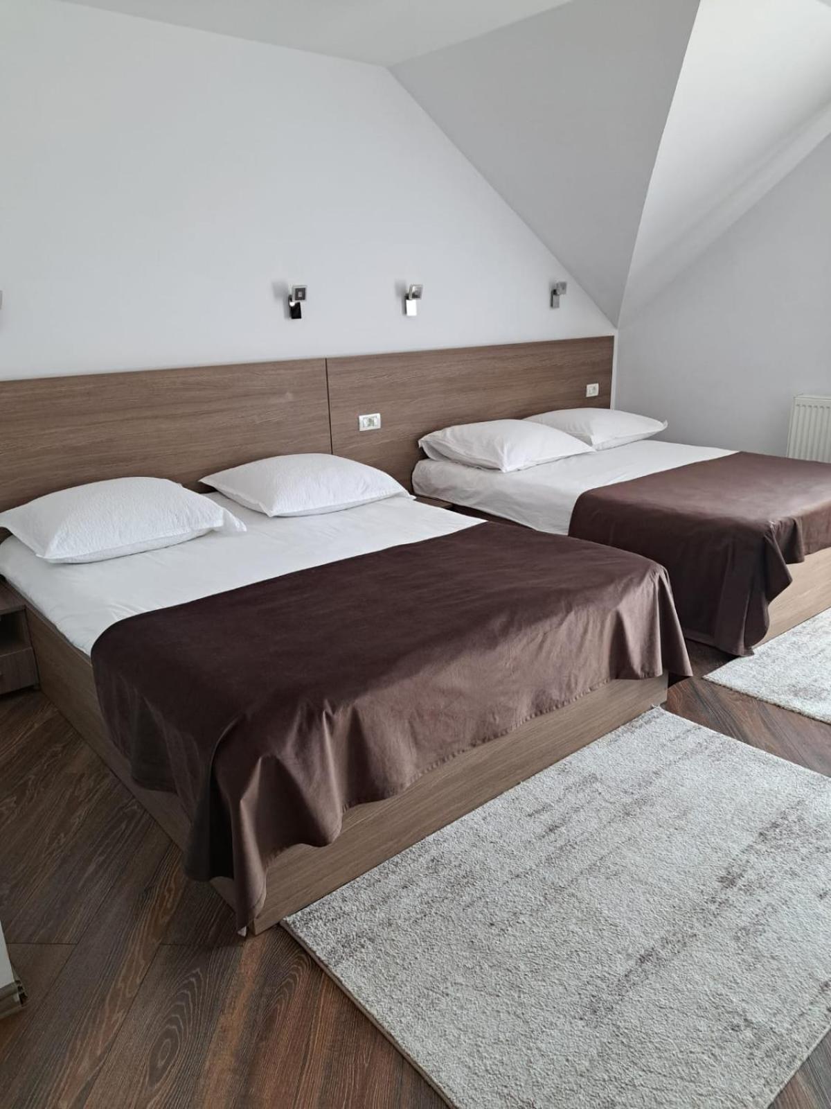 Pensiunea Casa Alexandra Guest house Vatra Dornei