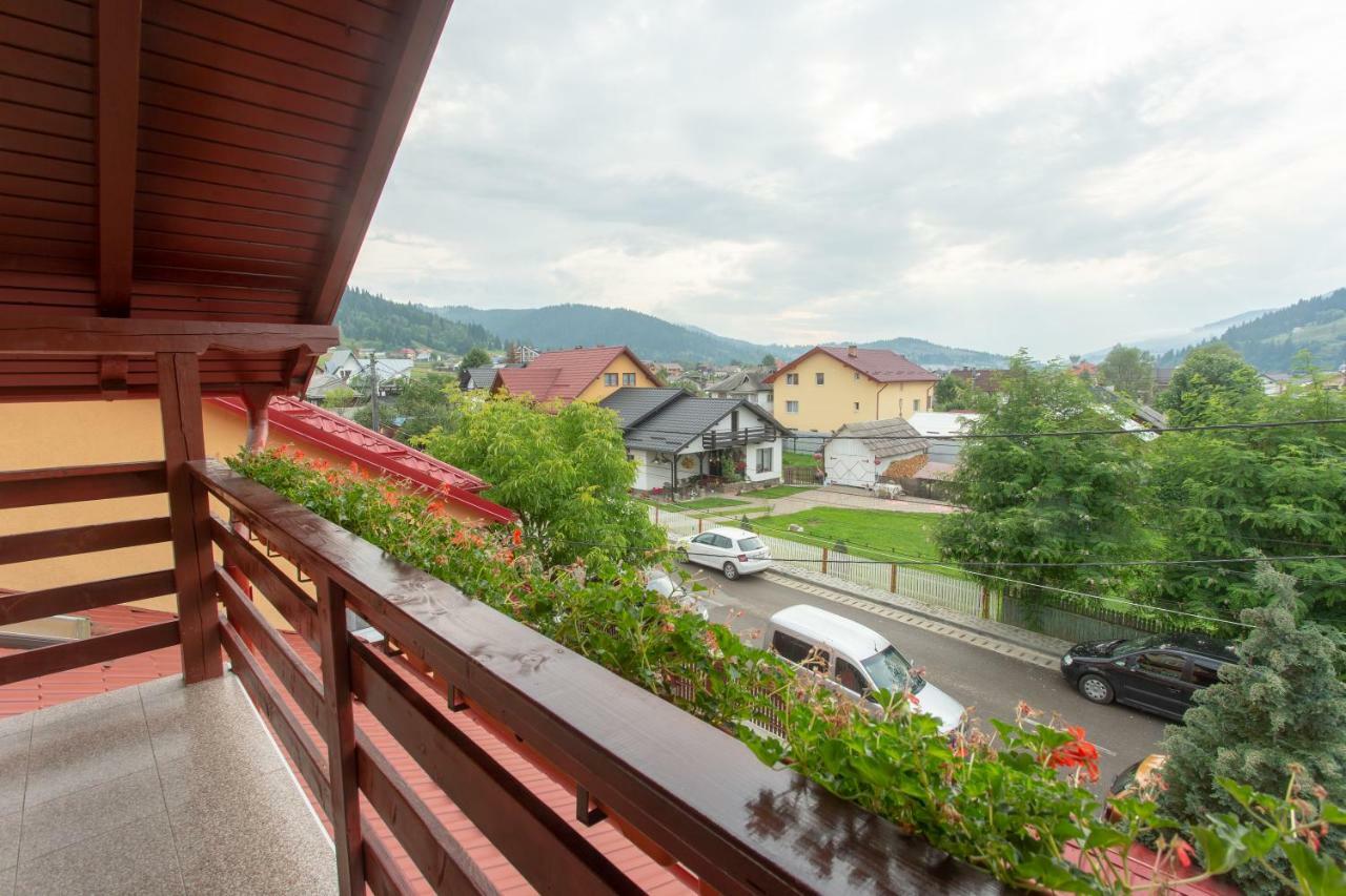 Pensiunea Casa Alexandra Guest house 3*