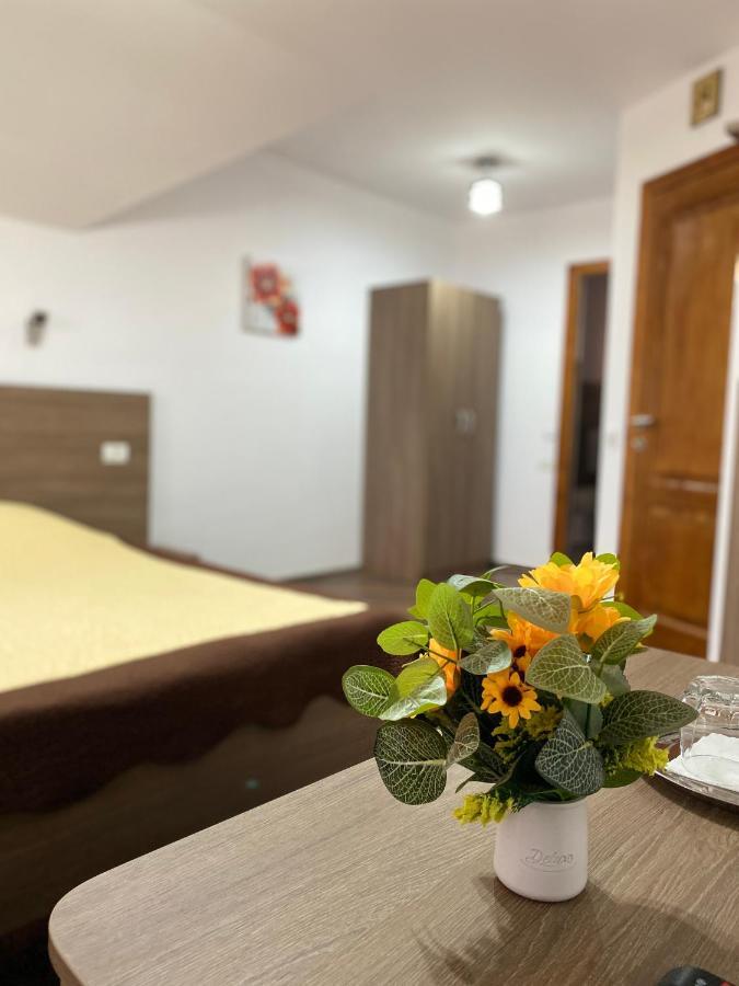 Guest house Pensiunea Casa Alexandra 3*