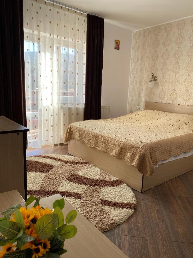 Guest house Pensiunea Casa Alexandra Vatra Dornei