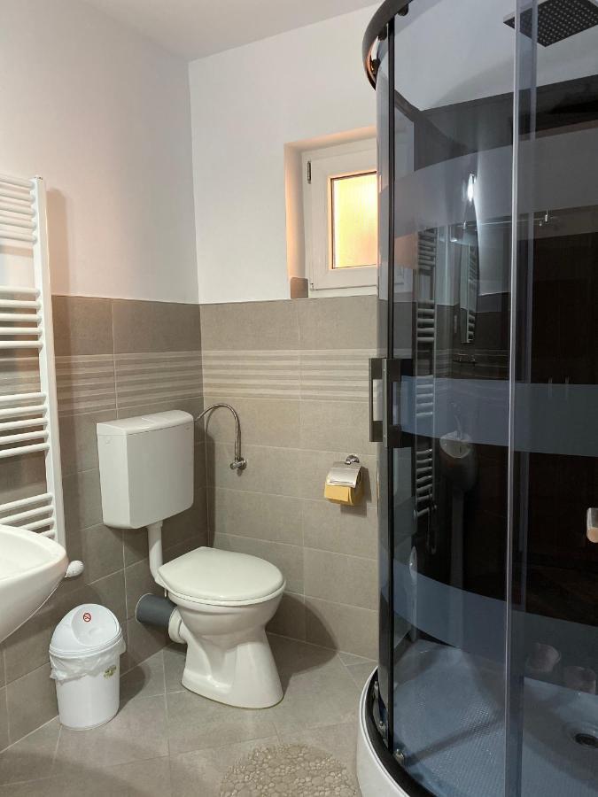 Pensiunea Casa Alexandra Guest house